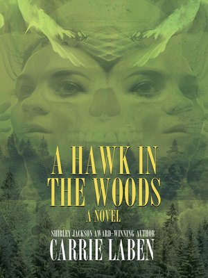 cover image of A Hawk in the Woods